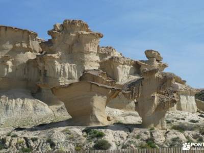 Parque Calblanque-Murcia; viajes en autocar circo gavarnie rey de patones velas pedraza parque natur